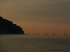 DSCN5204