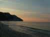 DSCN5206