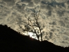 DSCN5384