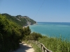 DSCN5397