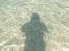 DSCN6194