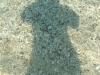 DSCN6195