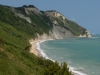 DSCN7155