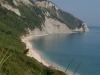 DSCN7176