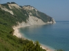 DSCN7178