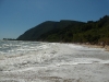 DSCN7265