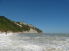 DSCN7266