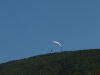 DSCN7287