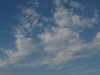 DSCN7342
