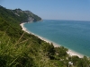 DSCN5001