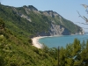 DSCN5005