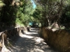 DSCN6430.jpg