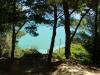 DSCN6432.jpg