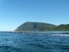 DSCN6471.jpg