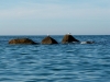 DSCN6478.jpg