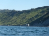 DSCN6488.jpg