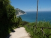 DSCN6542.jpg