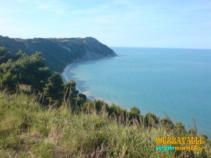 dsc00140