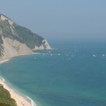 DSCN5746