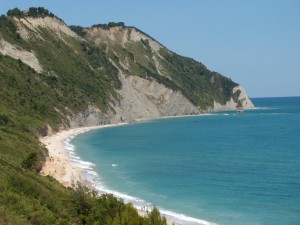 DSCN6730
