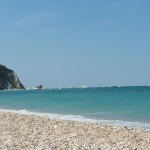 DSCN6796