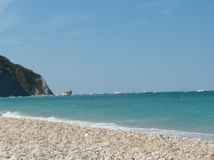 DSCN6796