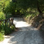 DSCN3749