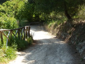 DSCN3749