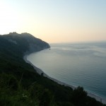 DSCN5646