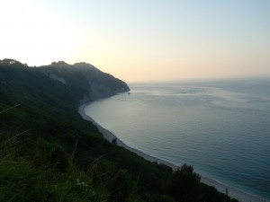 DSCN5646